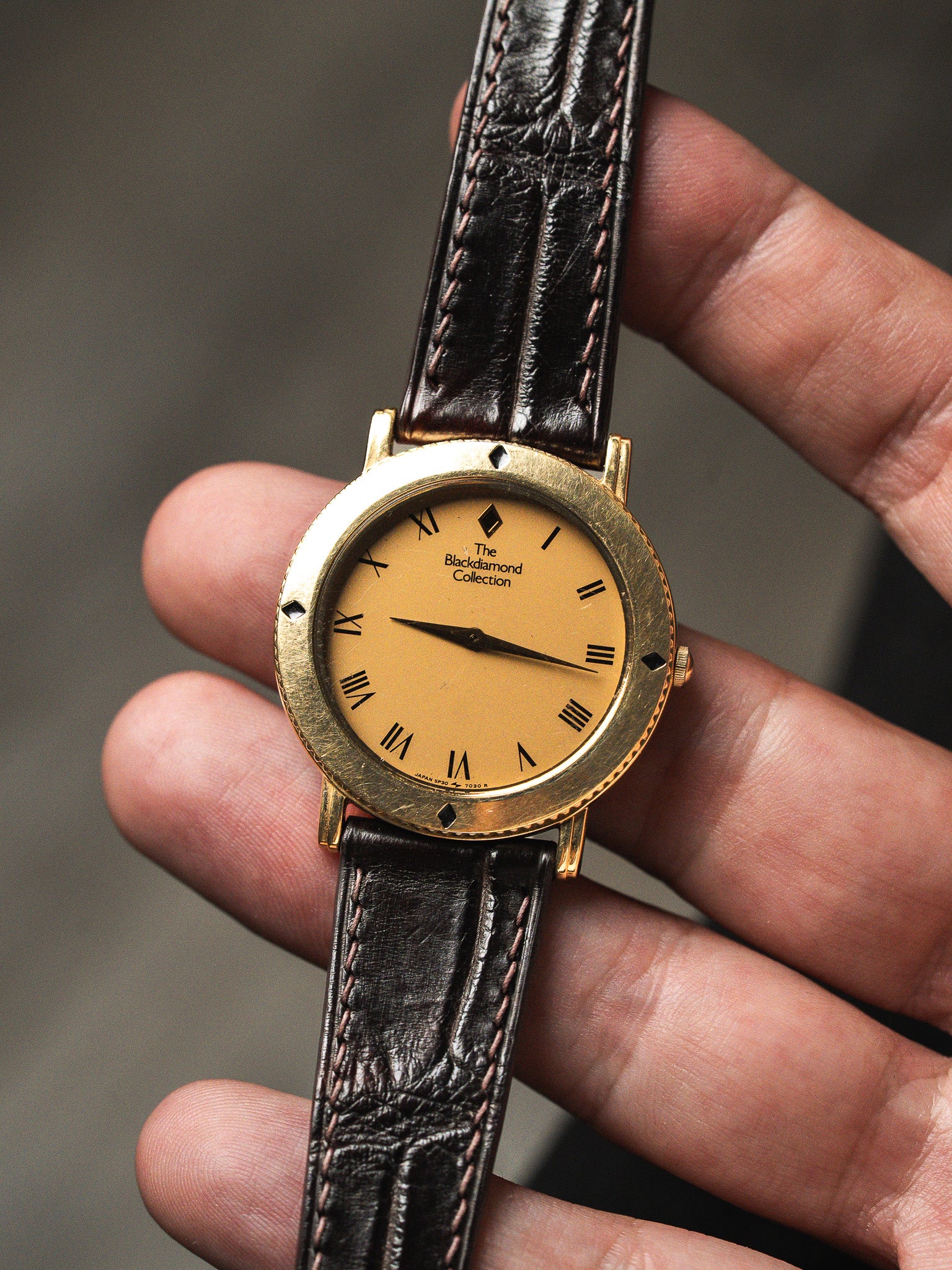 Seiko The Blackdiamond Collection Orologio — Placcato oro Quadrante nascosto (1993)