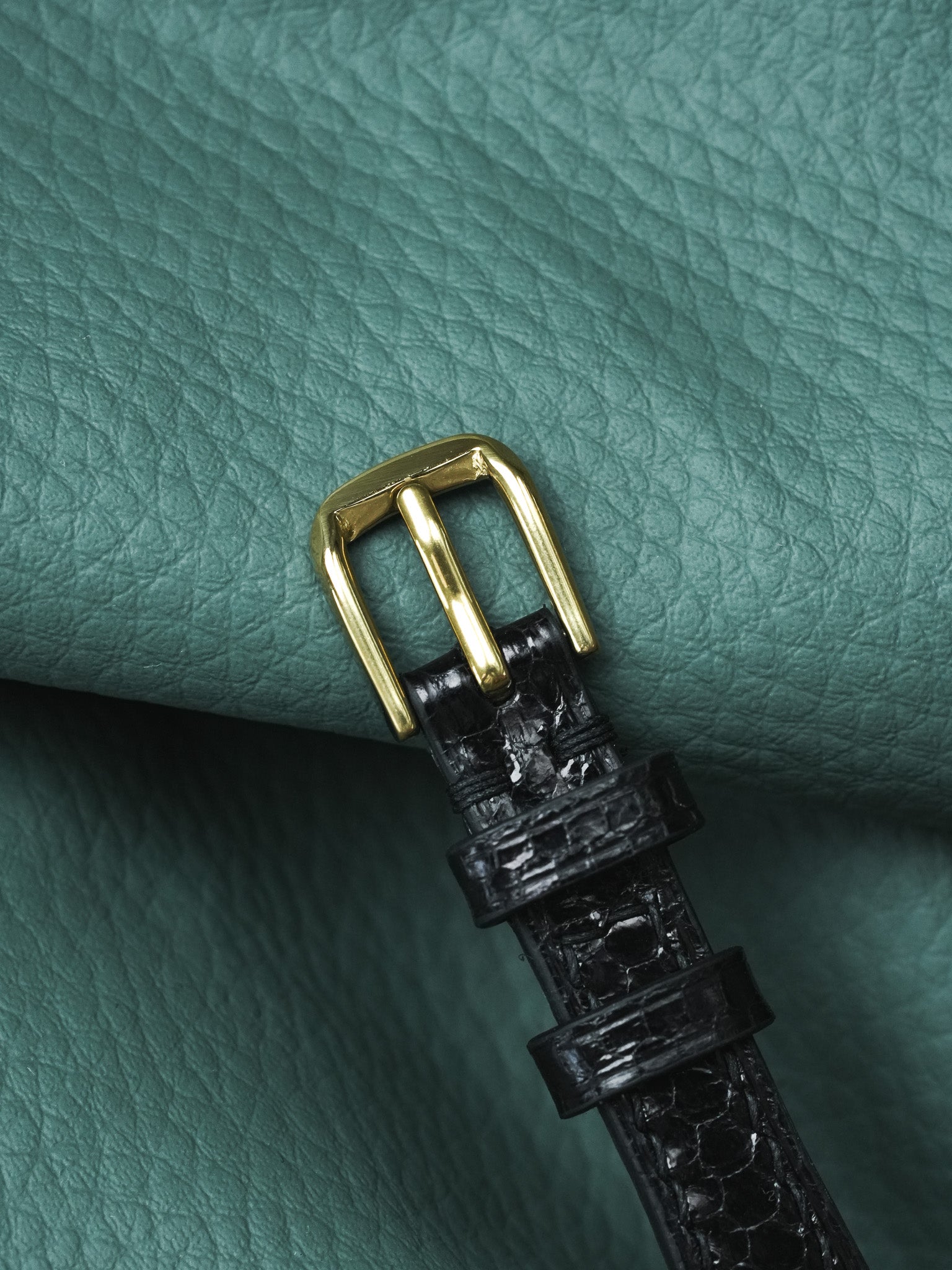 Black alligator leather watch strap with gold buckle on teal background