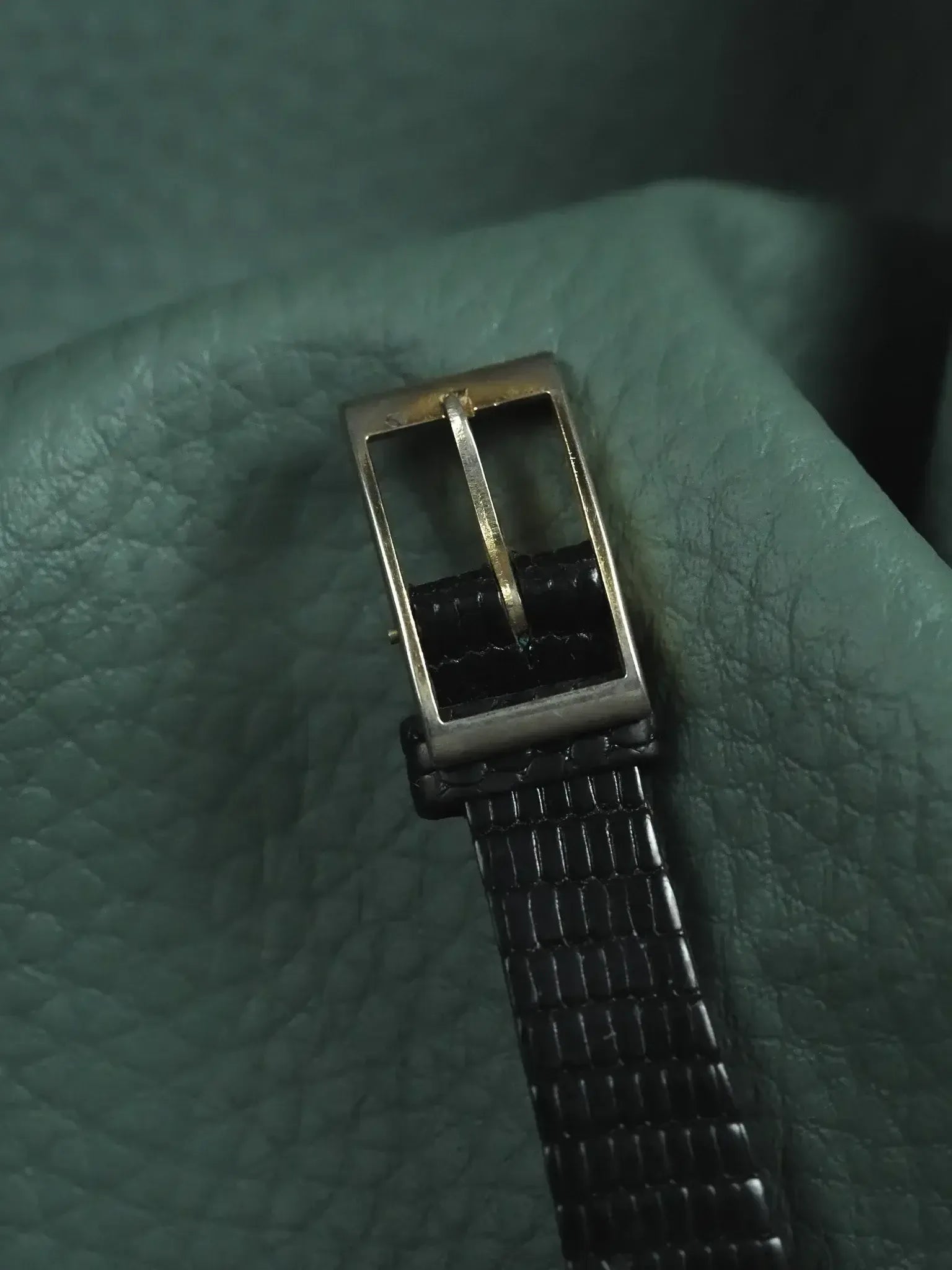 Vintage watch strap with black alligator texture and gold-toned buckle on green leather