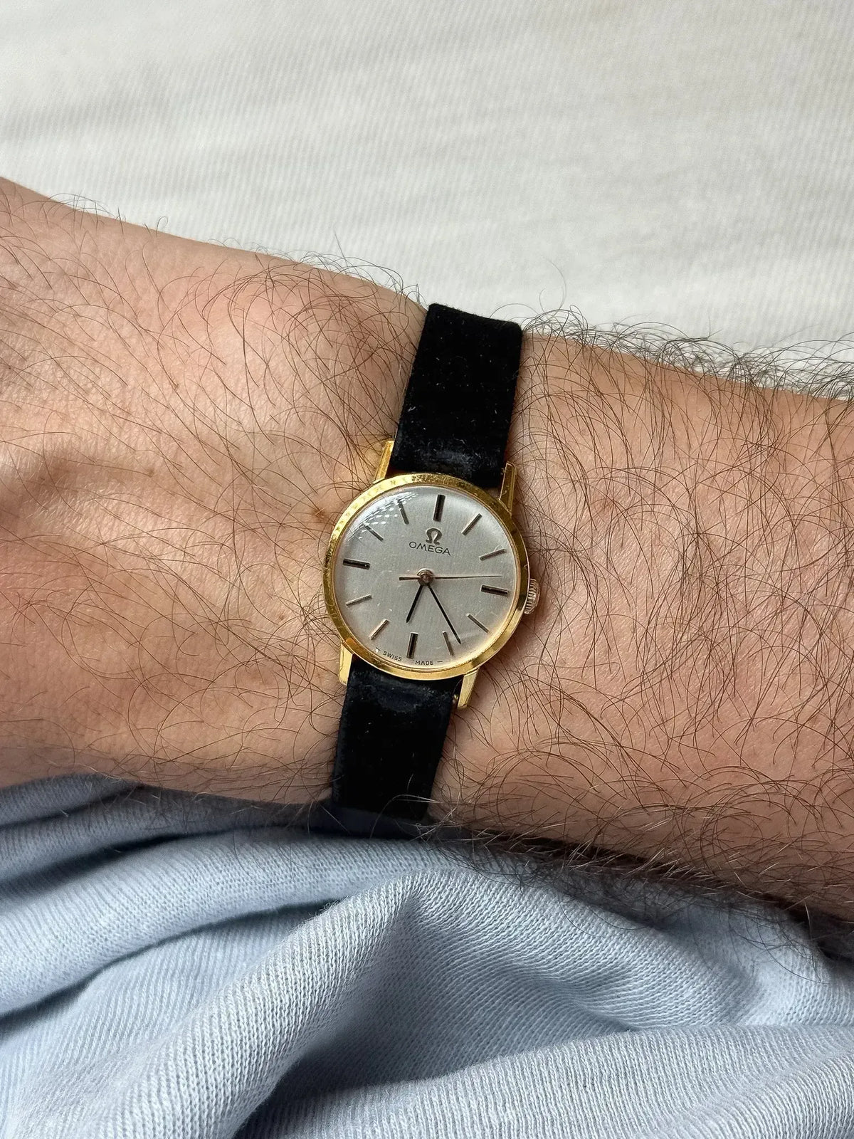 Omega vintage watch with gold case, silver dial, black velvet strap on wrist